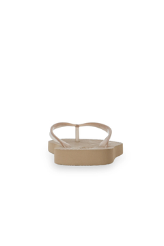 SLEEPERS(スリーパーズ) |Tapered Transparent